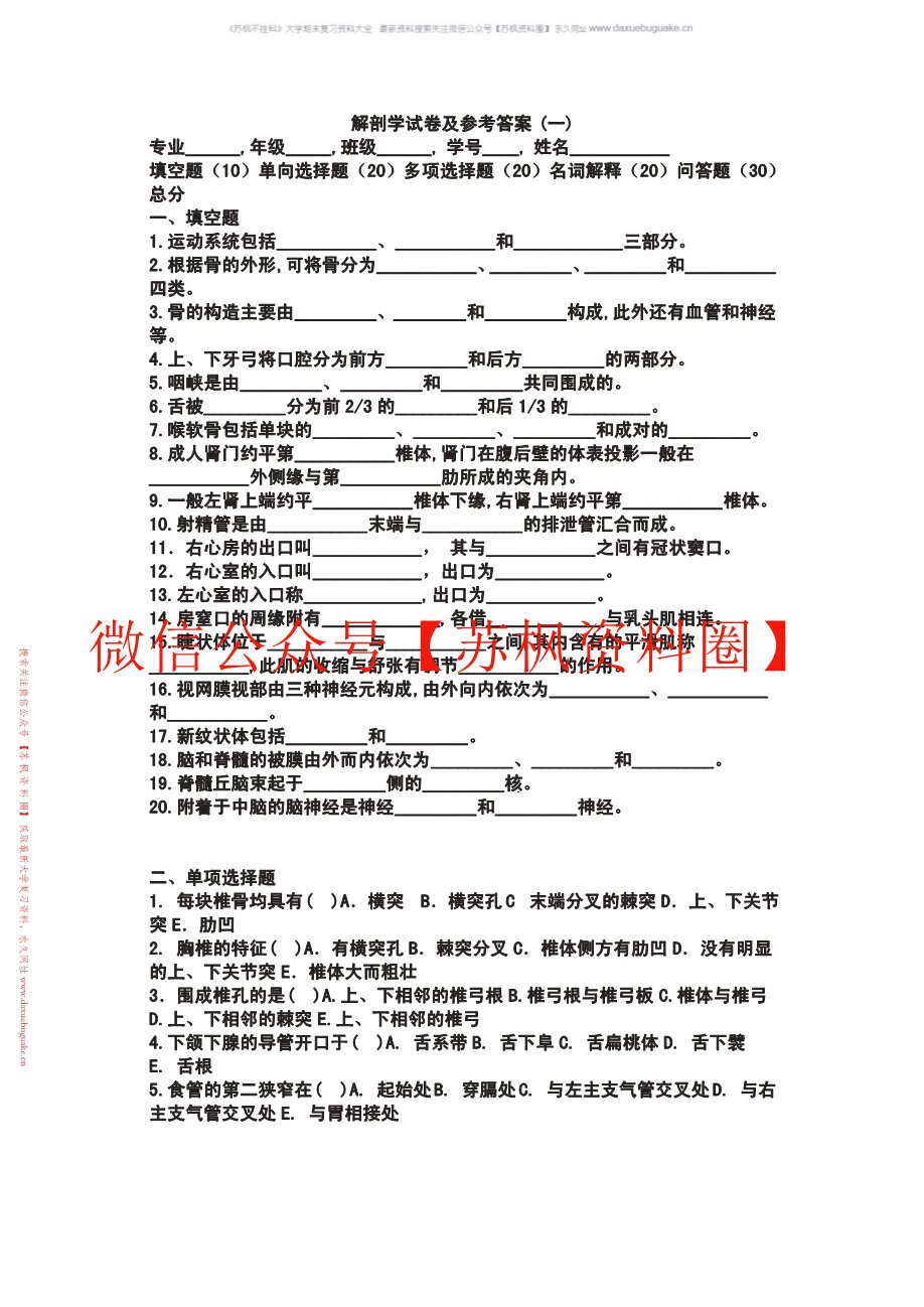 解剖学基础